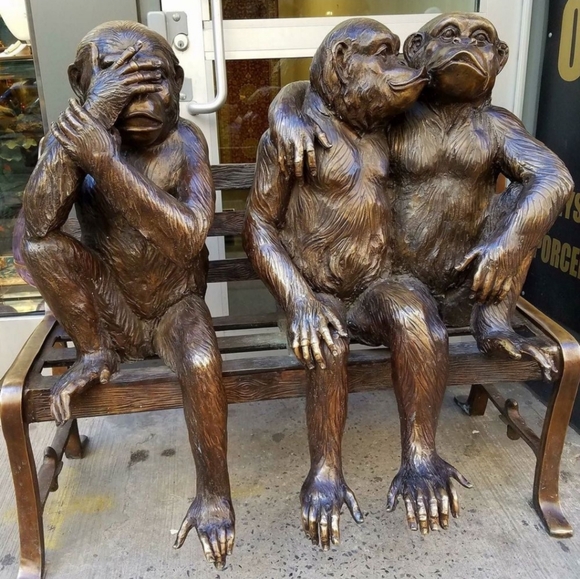 NWT - Picture 10 of 12